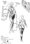 female body reference by wynnter89