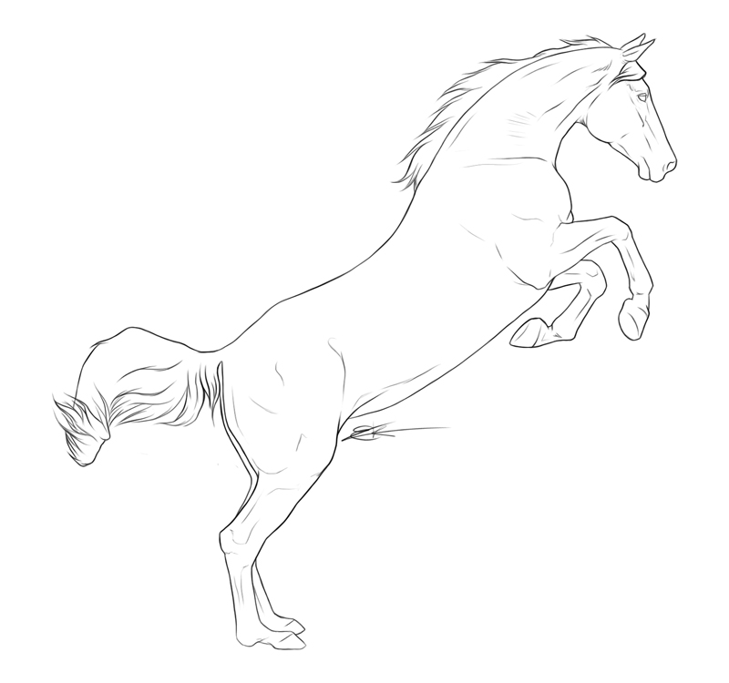 How to Draw a Jumping Horse - Really Easy Drawing Tutorial