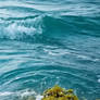 Eyes of the Shore and Sea