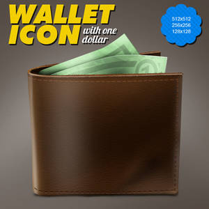 Wallet Icon