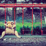 Wish you were here, II