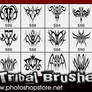 Tribal Brushes 1 PS 6