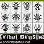 Tribal Brushes 2 PS 6