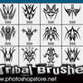 Tribal Brushes 3 PS 6+