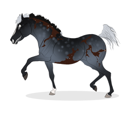 181 InkBound Foal Design | Sumentua De La Ilma