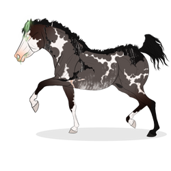 182 InkBound Foal Design | ZSS Yhdeksan De La Tuli