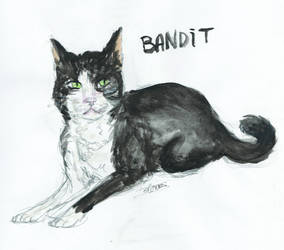 Bandit