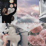 Photopack 004# - Random pictures