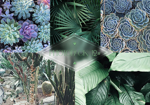 Photopack 012# - Plants by Efruse on DeviantArt