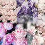 Photopack 014# - Flowers