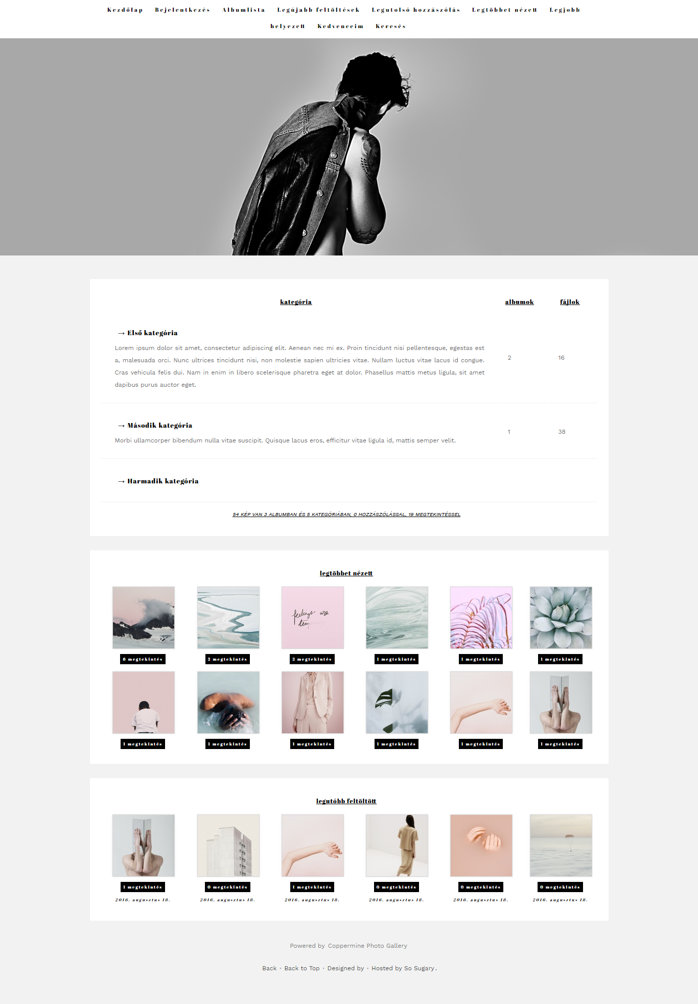 0006# free SoSugary gallery theme