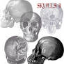 Skulls Brushes Set 2