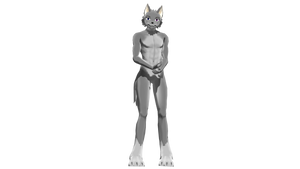 Kaycer Ver.2