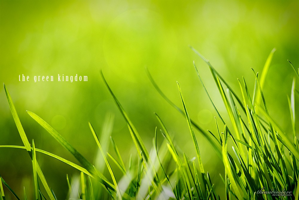 The Green Kingdom by theaudioslave