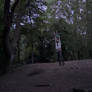 Big swing hanging 2 (video - 2023)