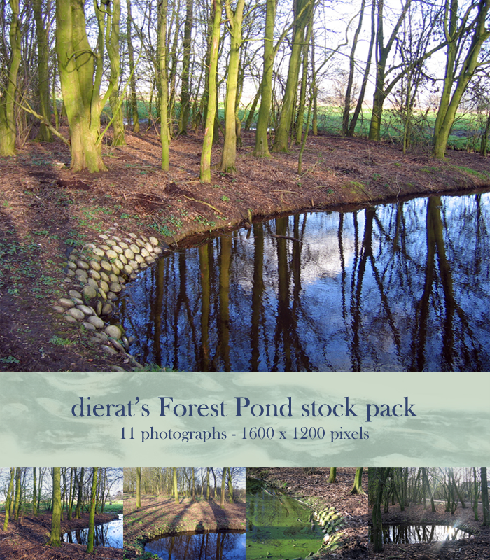 Forest Pond stock pack