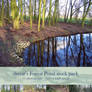 Forest Pond stock pack