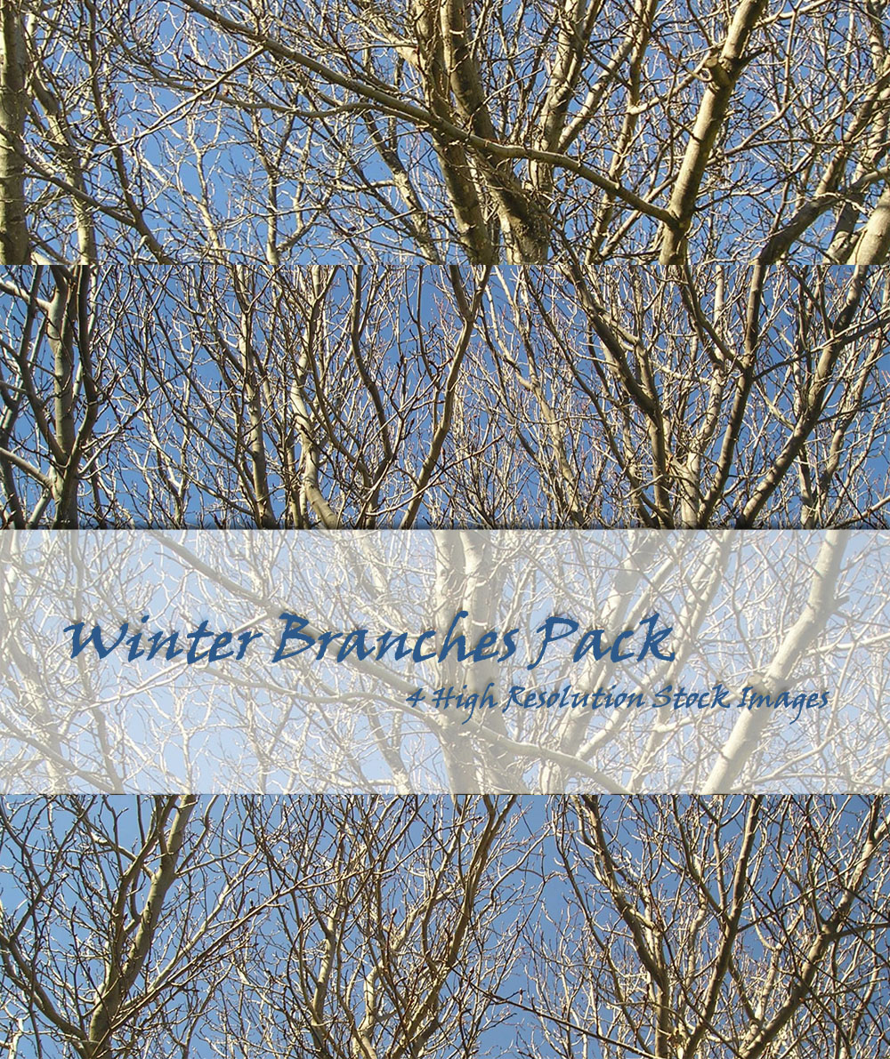 Winter Branches Stock Pack