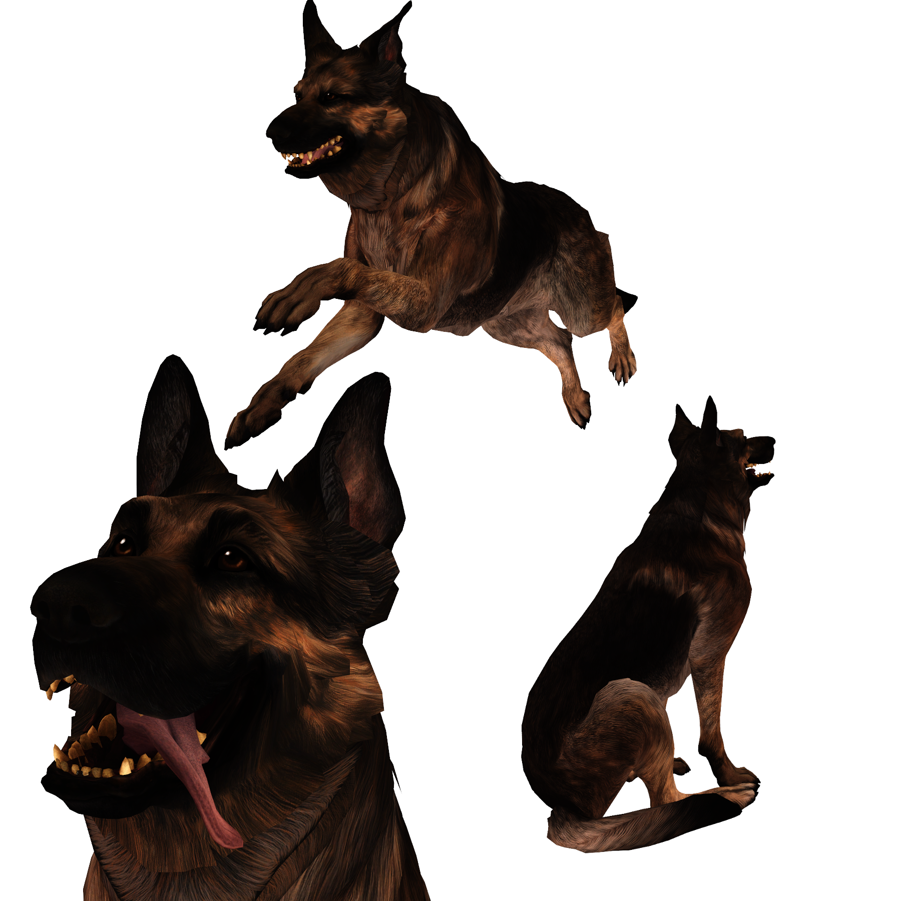 dogmeat retexture fallout 4 dogmeat retexture fallout 4