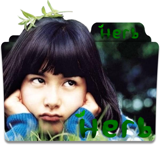 Herb (2007) Movie Folder Icon by MrNMS on DeviantArt