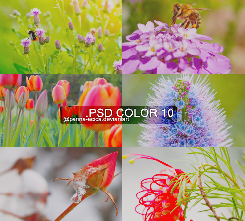 PSD Color 10