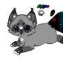 Galaxy kitten Merkpaws