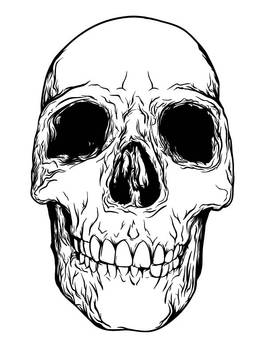 skull