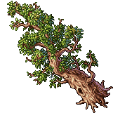 Dryad's Tree