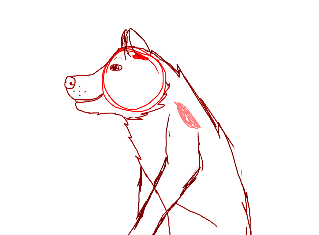 Dog Sketch By Summer Snowflakez On Deviantart