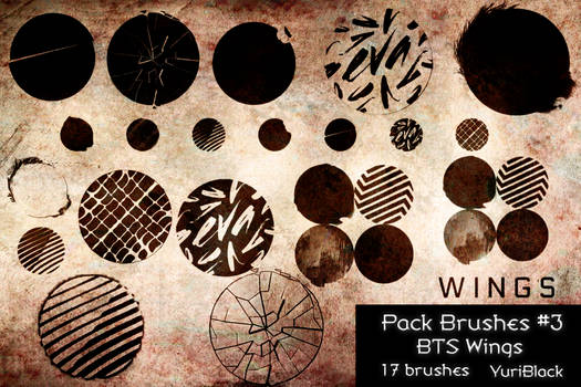 Pack Brushes #3 - BTS Wings Concept.