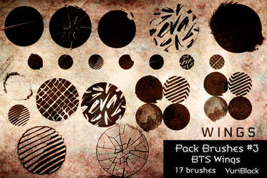 Pack Brushes #3 - BTS Wings Concept.