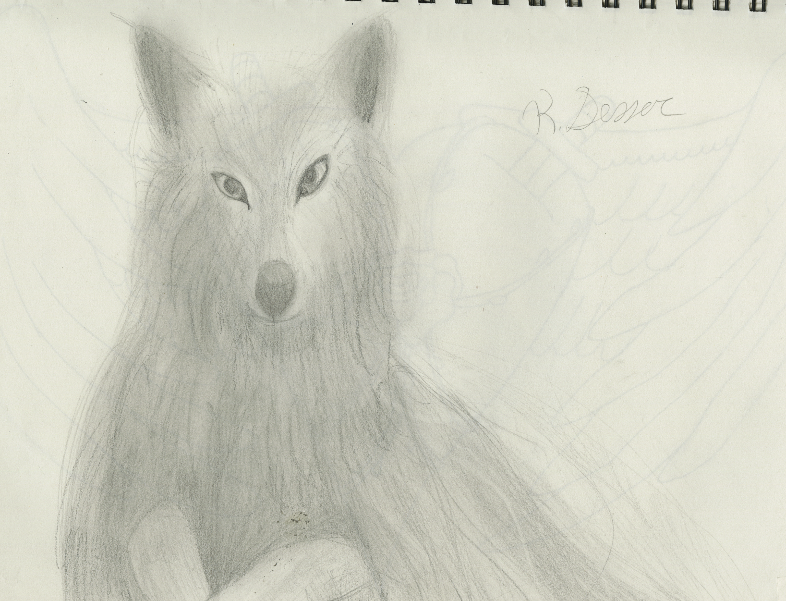 Random wolf sketch