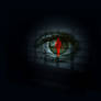 Eye in Dark