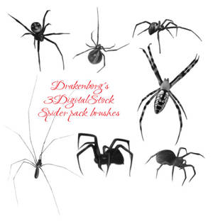 Spider brush pack
