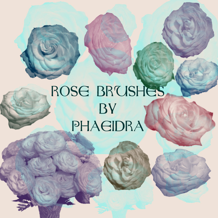 Rose Brushes