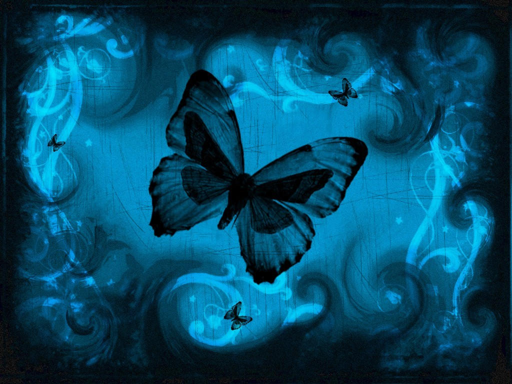 Черно синяя бабочка. Бабочки. Синяя бабочка. Красивый фон с бабочками. Бабочки на черном фоне.