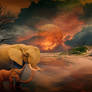 Dumbo
