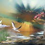 Birds and sunset beach, animation