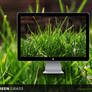 Green Grass Wallpaper