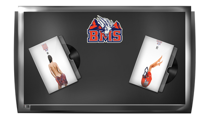 Blue Mountain State Disk Icons