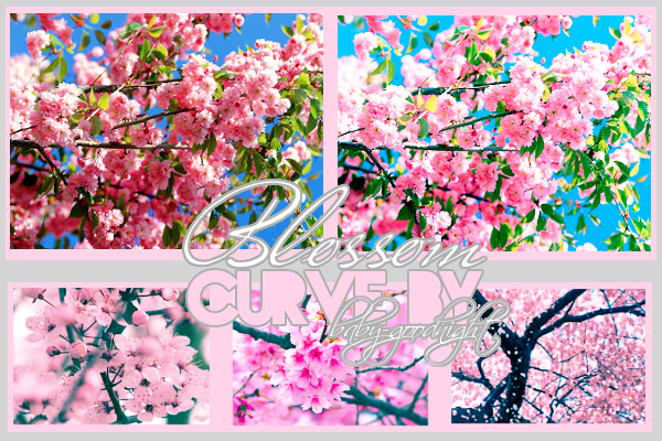 Curve 1 by Baby-Goodnight