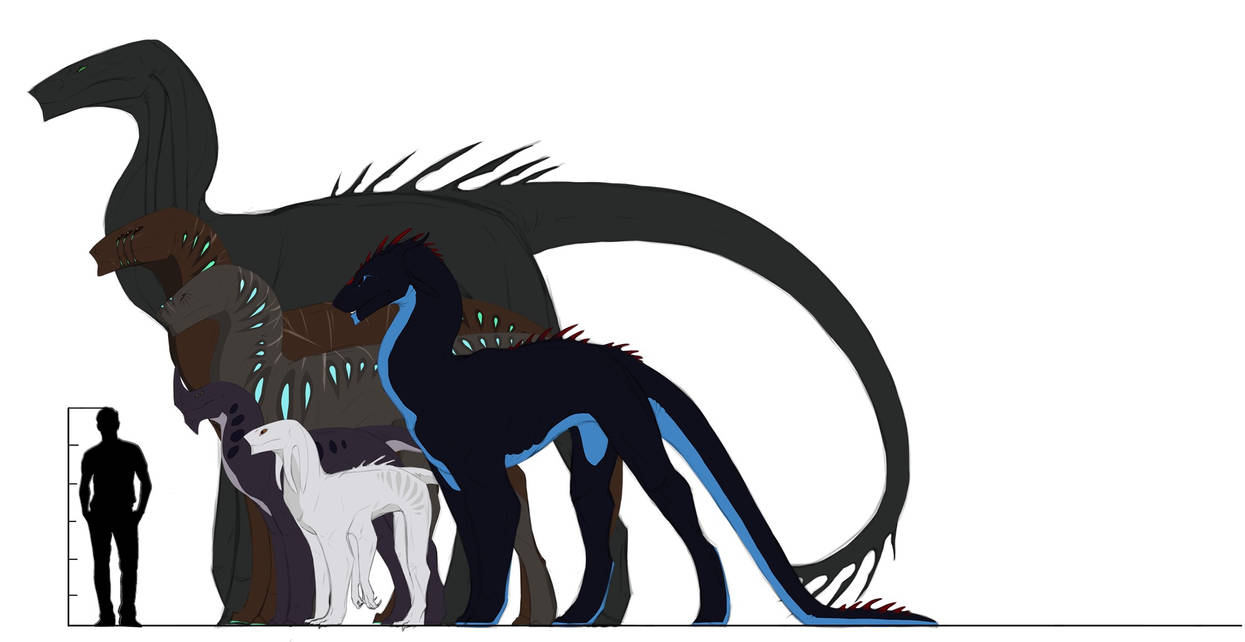 Size Comparison by DahrenMohran on DeviantArt