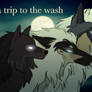DotW: a trip to the wash