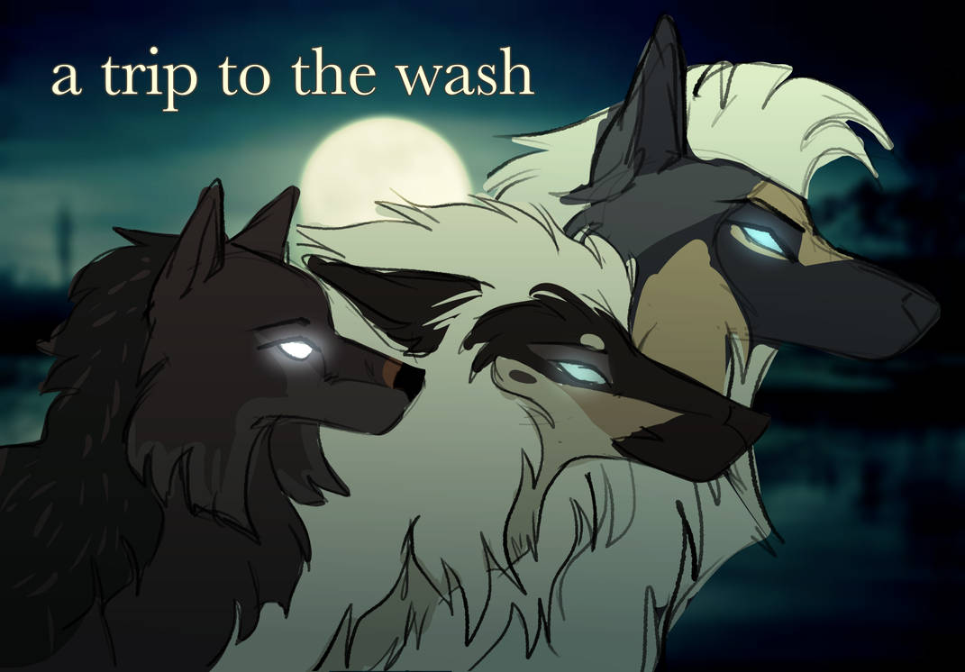 DotW: a trip to the wash by dog-dazed on DeviantArt