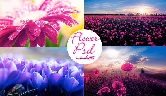 Flower PSD