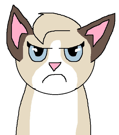 Grumpy Cat Animation By Crazii Drawing On Deviantart