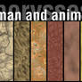 Human and animals 2