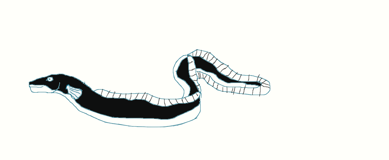 Crypto11:Giant Eels