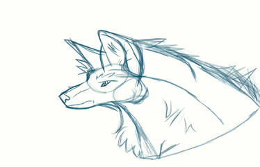 Sketch of a wolf head