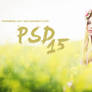PSD #15